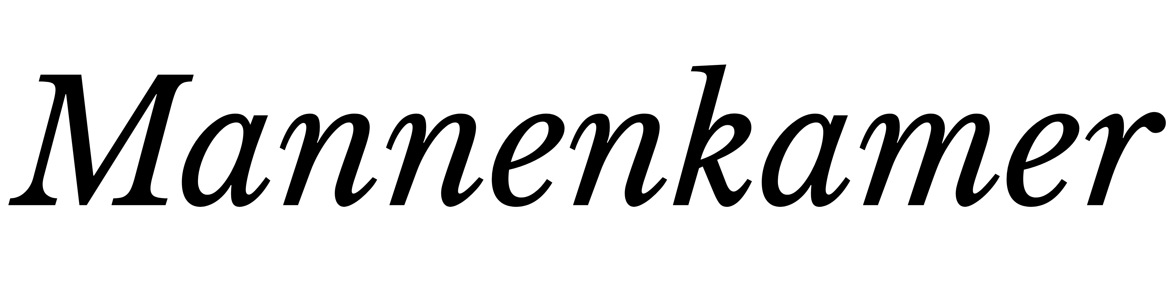 Mannenkamer